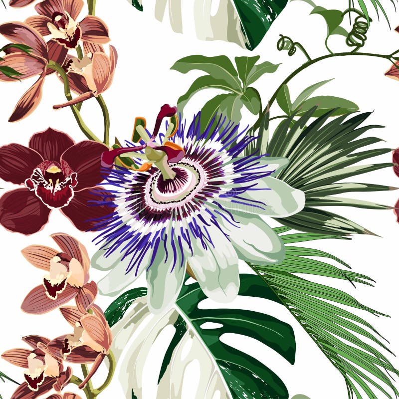 Passionflower tropical flowers and many kind of orchids. Passiflora seamless pattern on the white backgroung. vector illustration