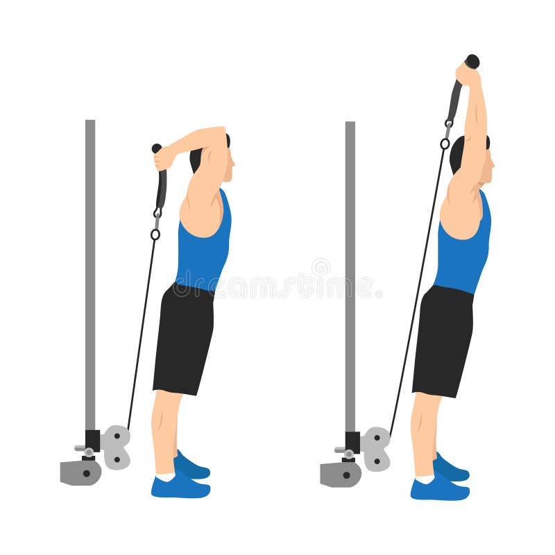Man doing cable rope overhead triceps extensions vector illustration