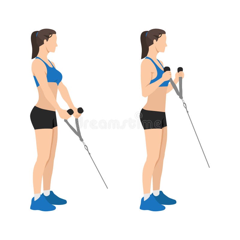 Woman doing Cable hammer bicep curls exercise stock illustration