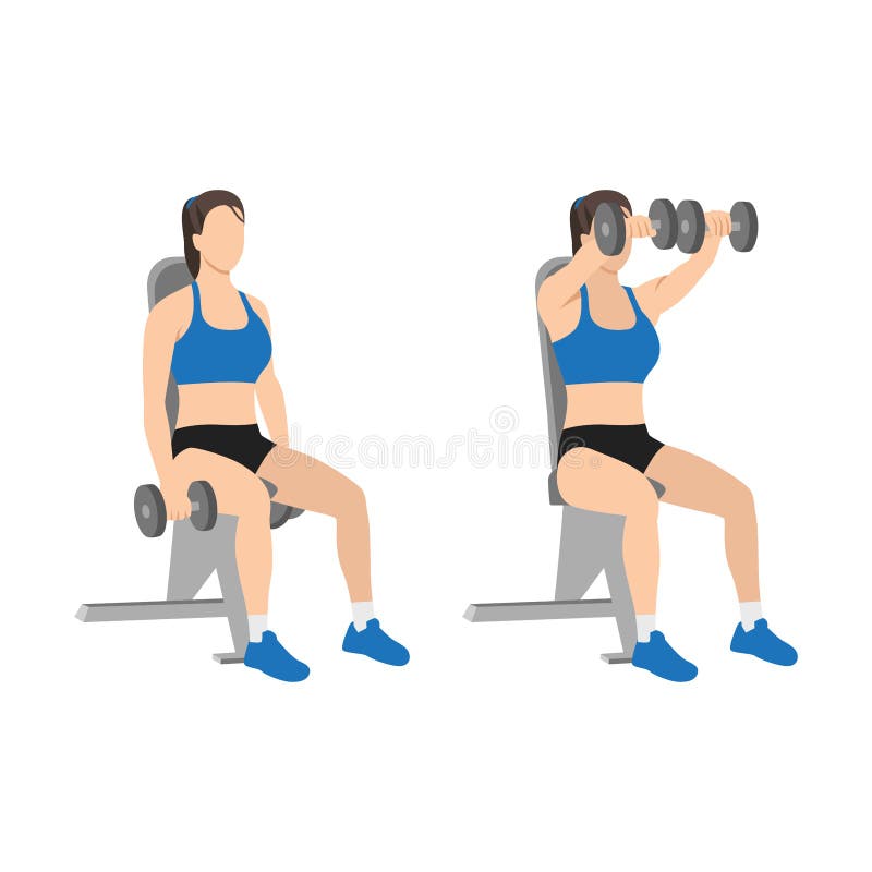 Woman doing Seated Dual front raises exercise. vector illustration