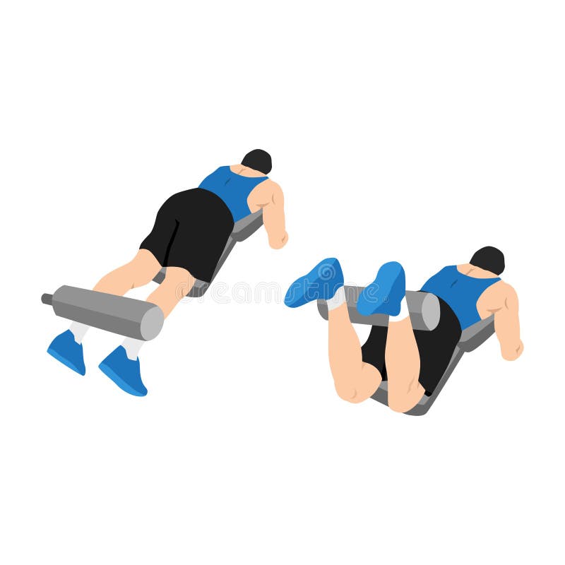 Man doing Lying leg curls exercise. Flat vector