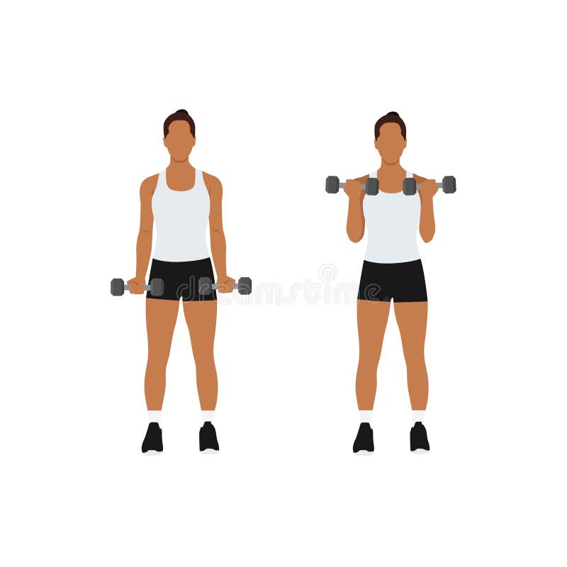 Woman doing dumbbell bicep curls. stock illustration