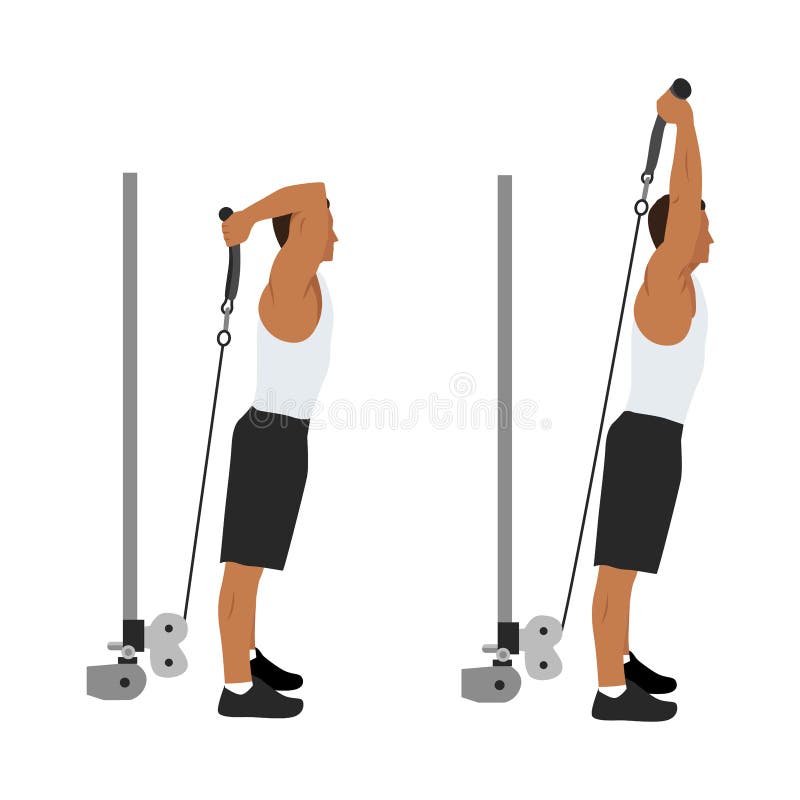 Man doing cable rope overhead triceps extensions royalty free illustration