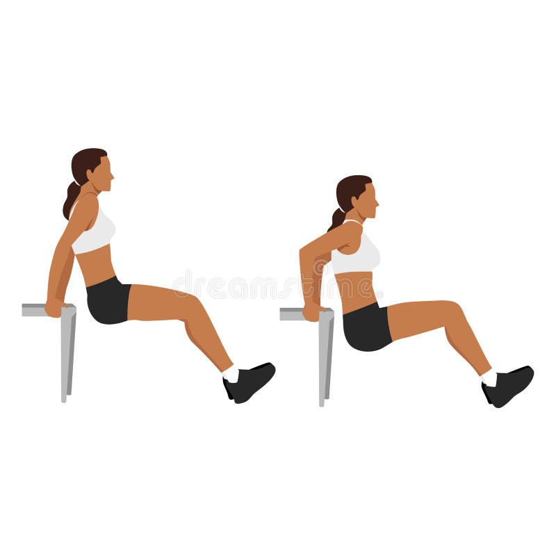 Tricep Dips Exercise Stock Illustrations 61 Tricep Dips Exercise