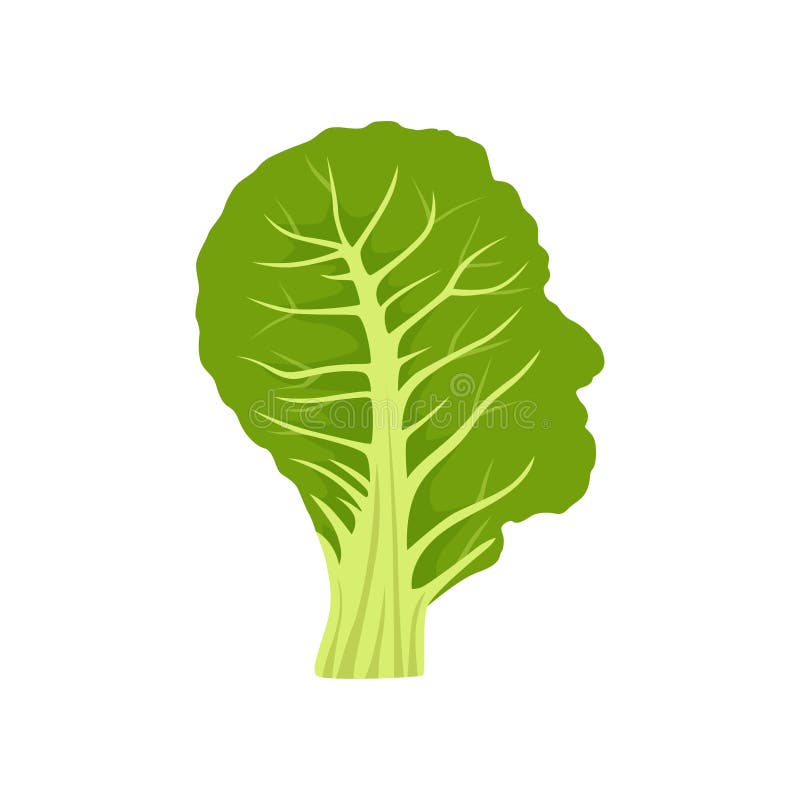 Flat Vector of Collard Greens Isolated on White Stock Illustration
