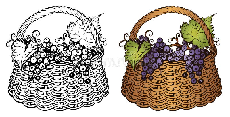 How to Draw a Basket of Fruit 14 Steps with Pictures  wikiHow