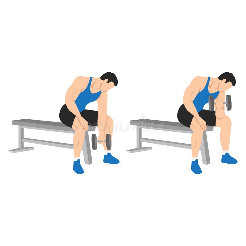 Man doing Dumbbell concentration curl. Flat vector illustration