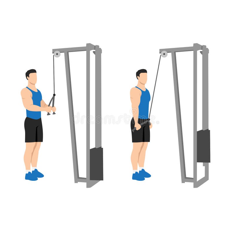 Man doing Cable rope pushdown exercise. royalty free illustration