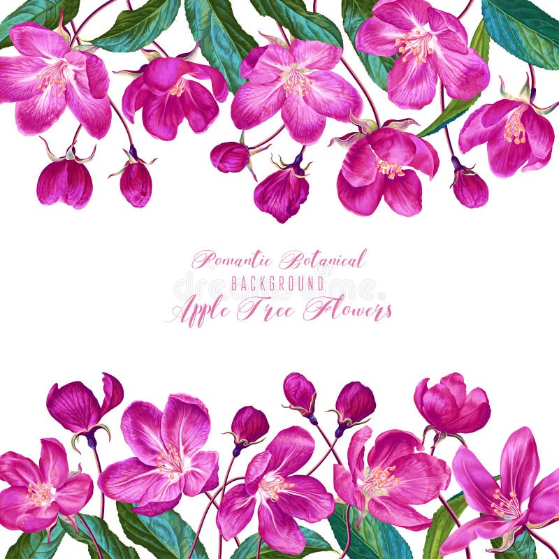Square template with pink apple blossoms and green leaves. Vector spring flowers in realistic hand-drawn style. vector illustration