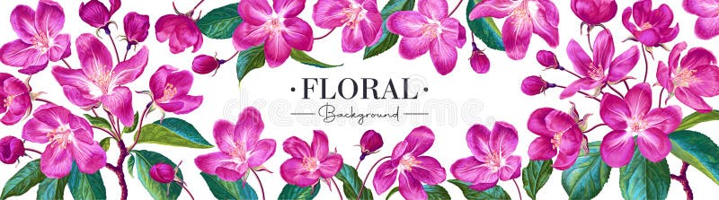 Vector horizontal banner on white background with pink apple blossoms. vector illustration