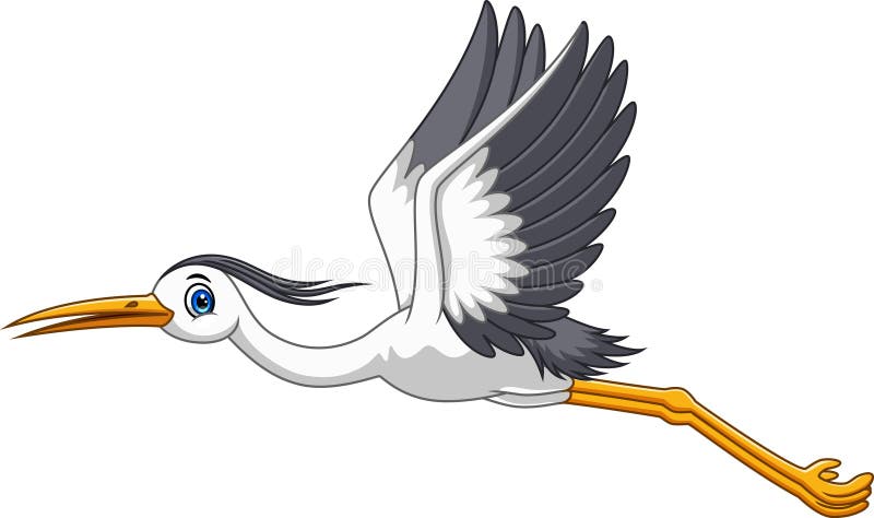 Cartoon cute stork flying on white background