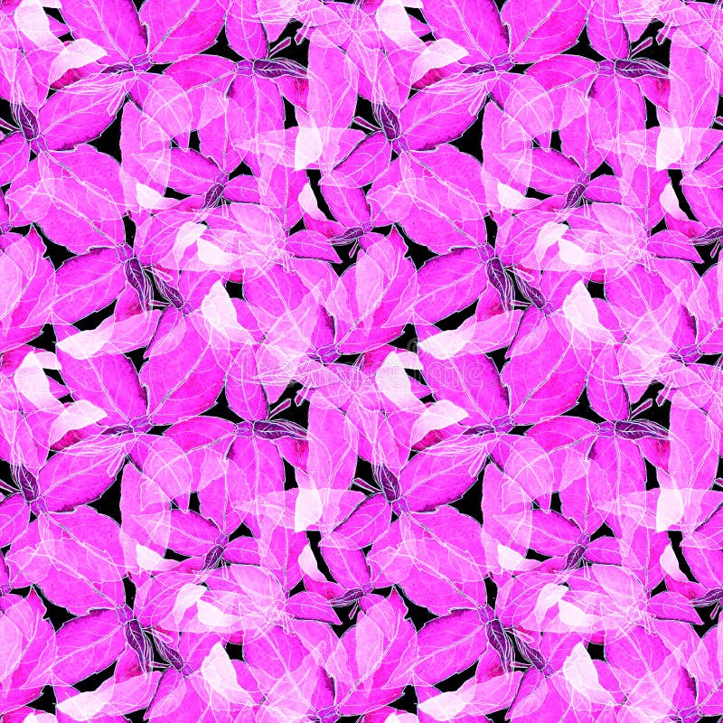 Basil Leafs Seamless Pattern Fundo tirado mão de Repeatably com erva e manjericão da especiaria imagens de stock royalty free Basil Leafs Seamless Pattern Fundo tirado mão de Repeatably com erva e manjericão da especiaria imagens de stock royalty free