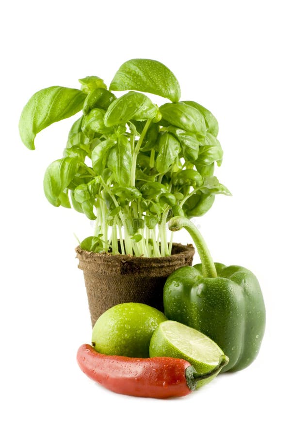 Basil, lime, chili & green bell pepper isolated