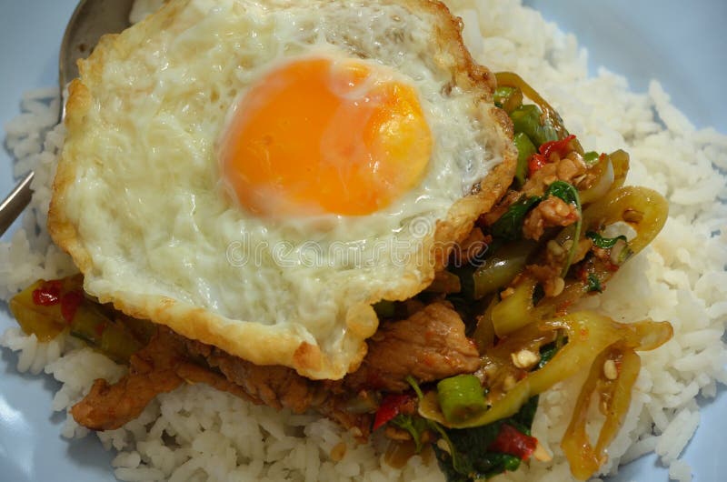 Basil Minced Pork and Fried Egg with Rice Stock Photo Image of fried