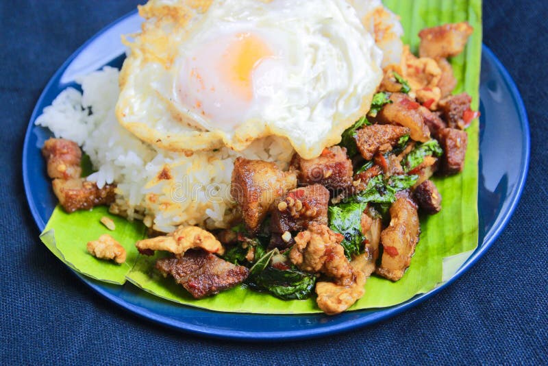 Basil Pork with Egg stock photo. Image of kaprowkai 125298376