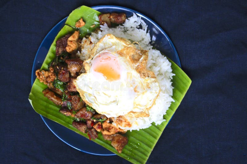 Basil Pork with Egg stock image. Image of minced, rice 125298373
