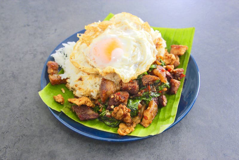 Basil Pork with Egg stock photo. Image of kaprowkai 125298328