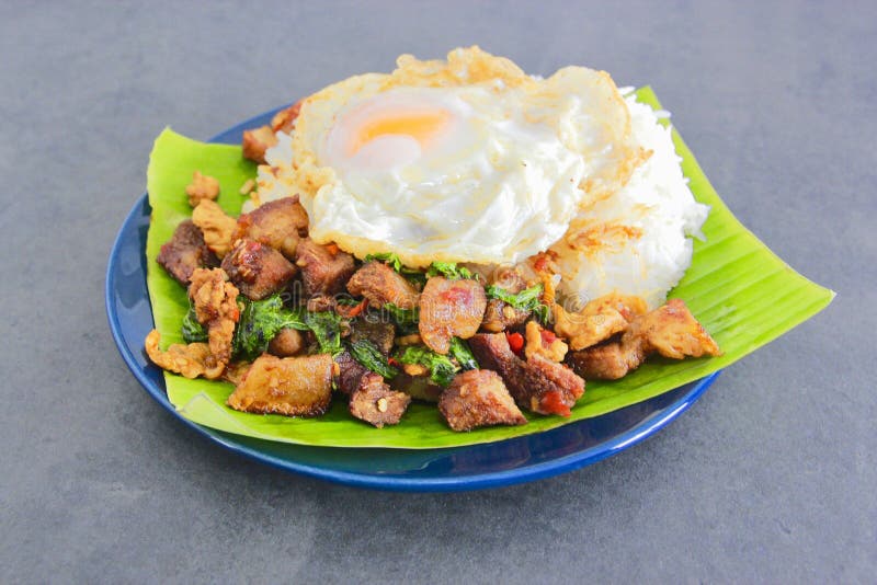 Basil Pork with Egg stock photo. Image of pork, background 125298344