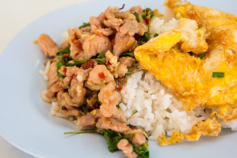 Basil Pork Fried Rice with Omelette Stock Image Image of meat, delicious 32077533