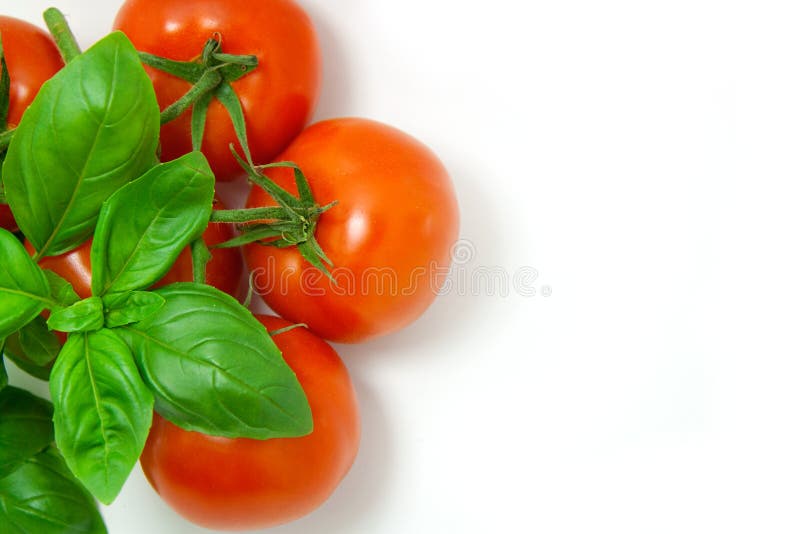 Basil and tomatoes