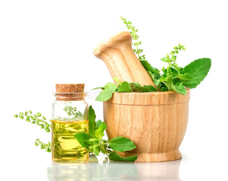 basil in wooden mortar with essential oil , alternative herbal