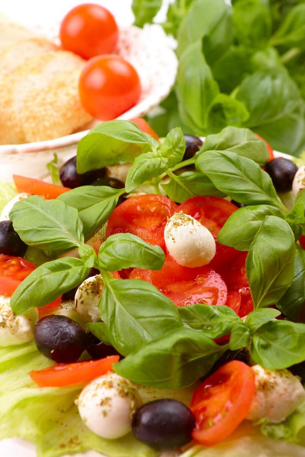 Basilu mozzarelli oliwek sałatki pomidor