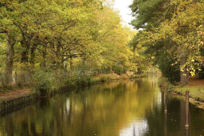 Basingstoke canal path stock photo. Image of europe, guildford 47875328