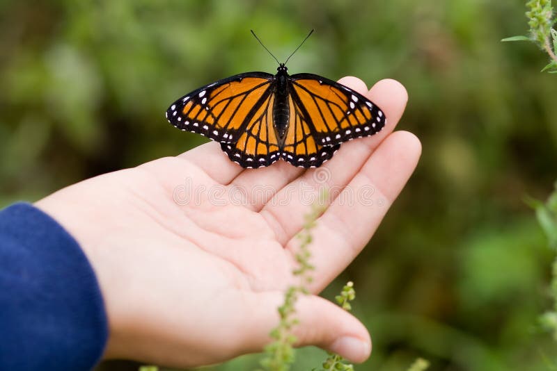 Basisrecheneinheit auf einer Hand. stockbild Basisrecheneinheit auf einer Hand. stockbild