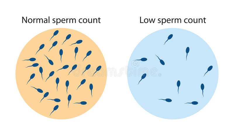 Slow Sperm