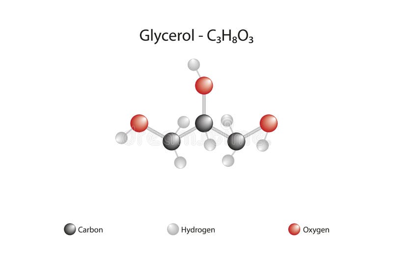 Molecular Formula and Chemical Structure of Glycerol Stock Vector Illustration of glycerol