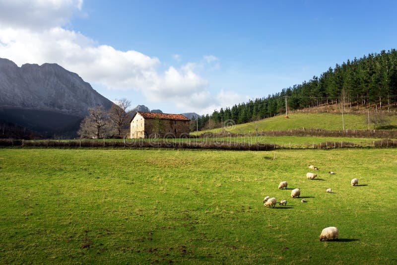 Baska gospodarstwa rolnego dom