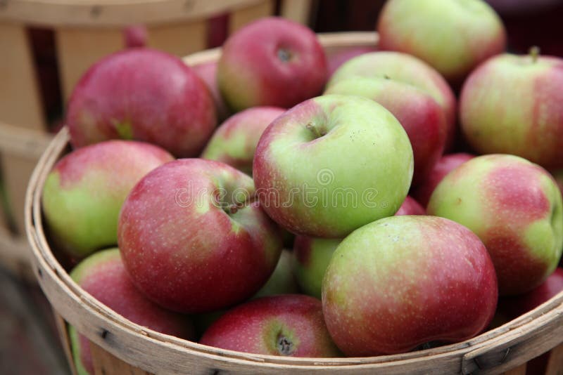 Dettagli di una bussola o di un paniere di mele appena raccolte.