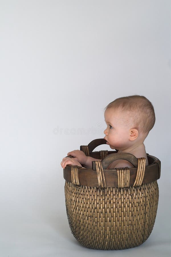 Basket Baby stock photo. Image of rosy, baby, look, infant 2378748