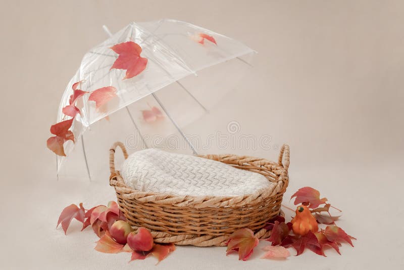 Baby In A Basket On A Doorstep Stock Photo, Picture and Royalty Free Image.  Image 15440807.