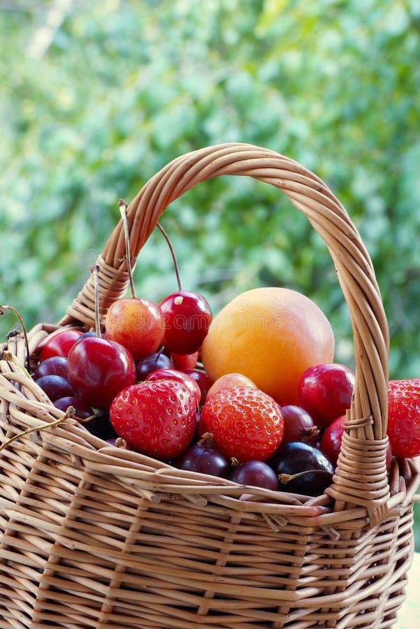 Basket with Berries and Fruits Stock Image Image of gooseberries