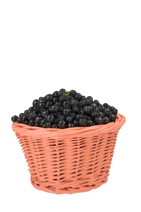 Basket with blueberry on a white