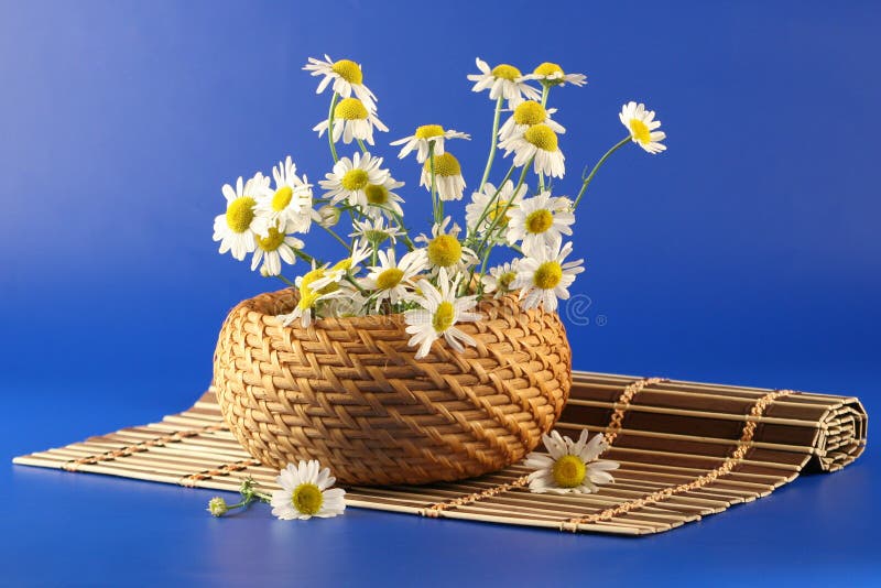 Basket with camomiles