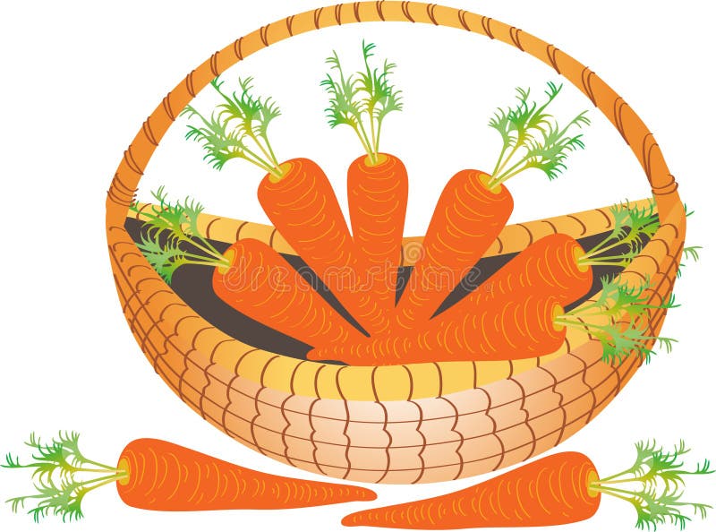 A basket of carrots stock vector. Illustration of orange 56730130