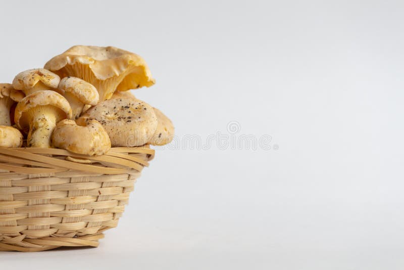 Wooden Basket - Small