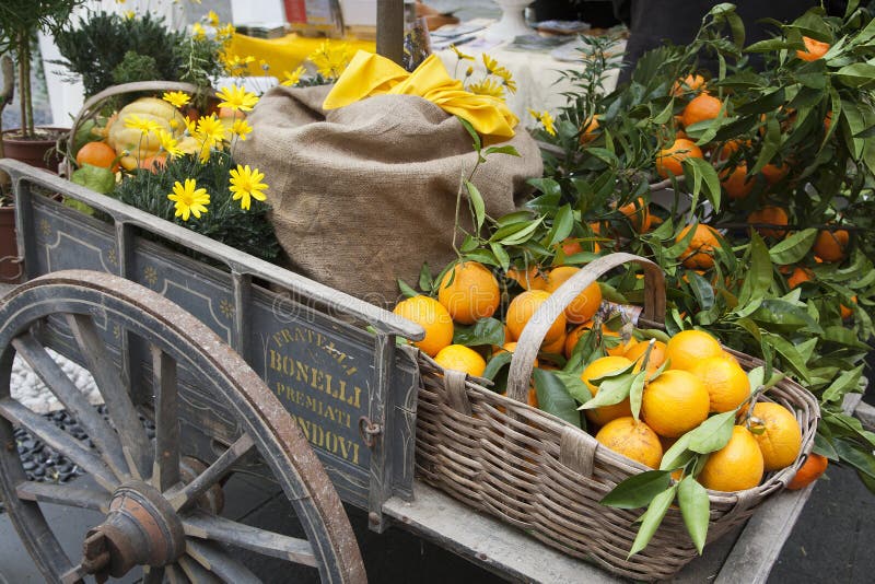 Basket citrus on an ancient chariot