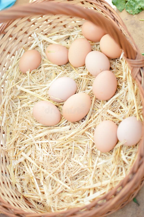 Basket with eggs on market stock photo. Image of dairy 64214436