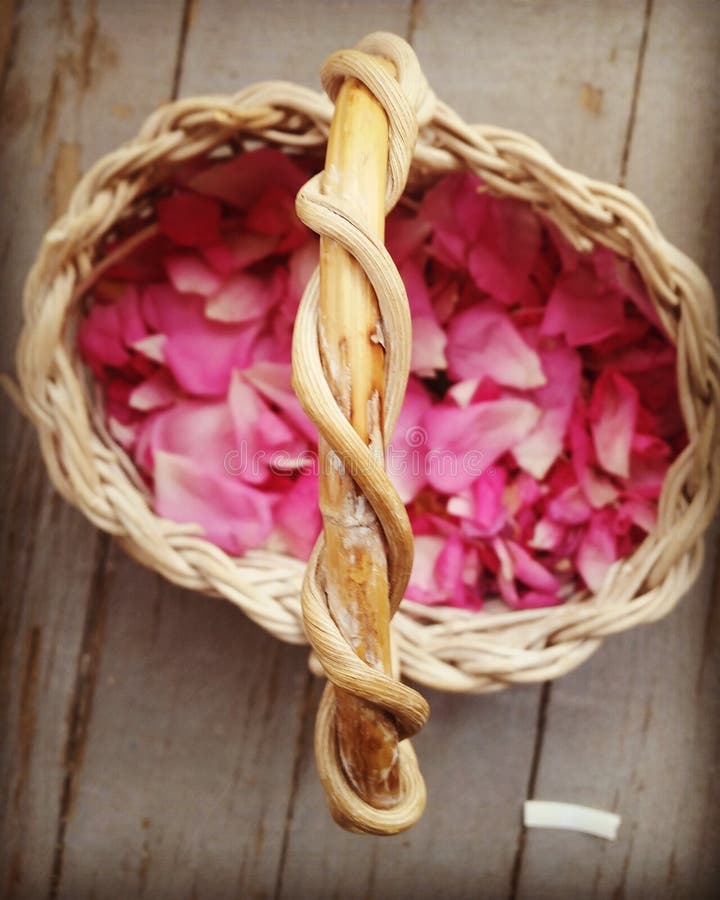 Basket of flower petals stock image. Image of basket 75770293