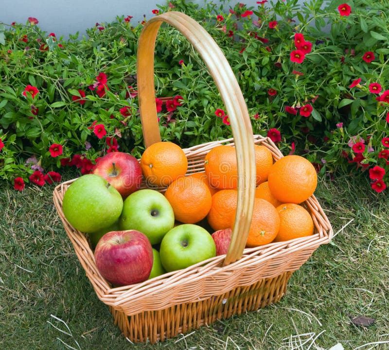 Basket of fresh fruit stock image. Image of apple, natural 25732125