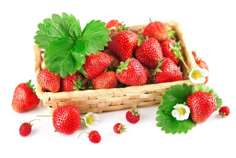 Basket Fresh Strawberry with Green Leaf and Flower Stock Image Image