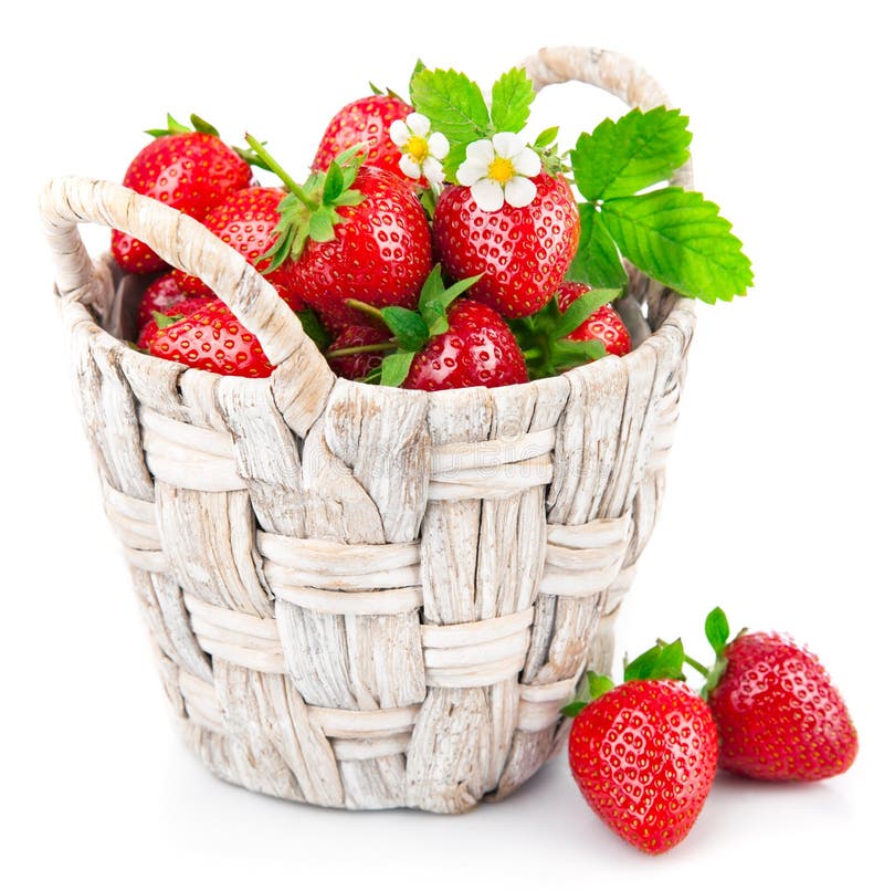 Basket Fresh Strawberry with Green Leaf and Flower Stock Image Image