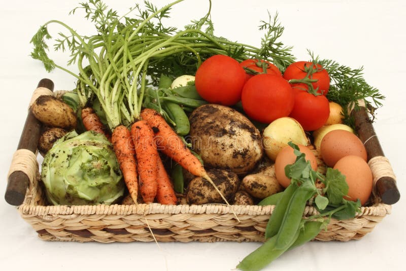 Basket with fresh vegetables and eggs