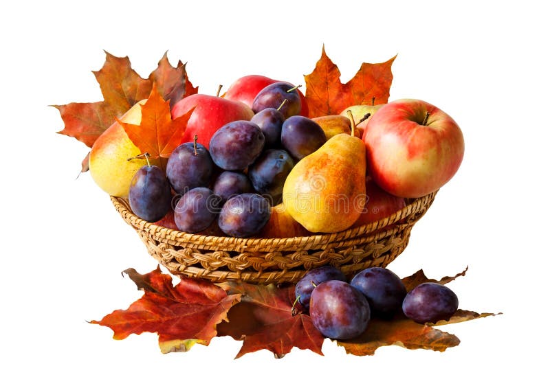 Basket with fruits and autumn leaves , isolated on white