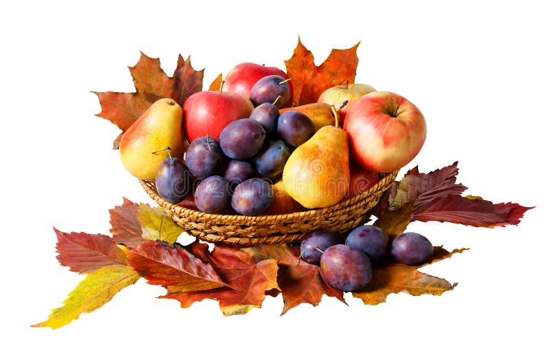 Basket with fruits and autumn leaves isolated on white