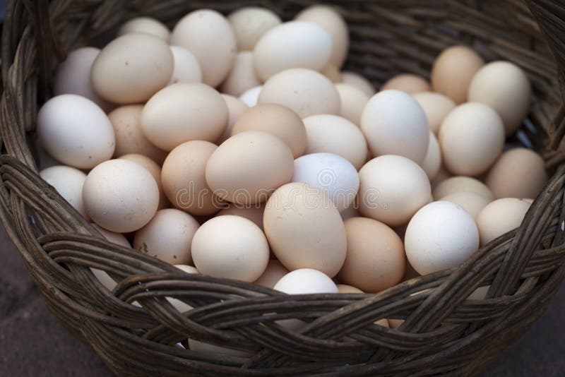 A basket full of eggs stock photo. Image of nature, background 43130428