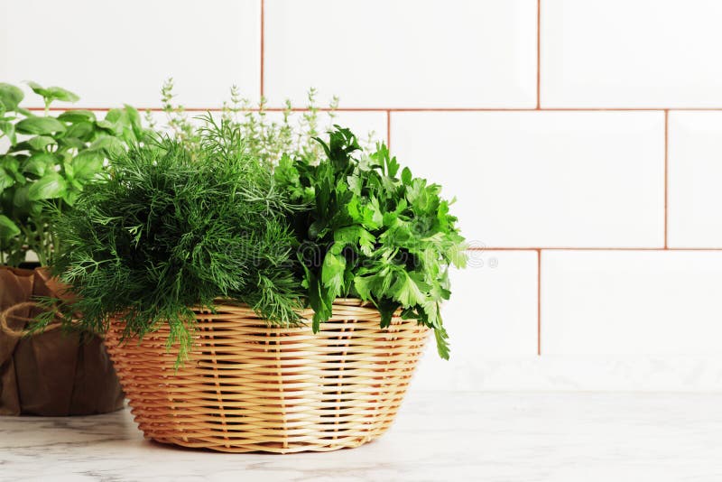 A Basket Full of Fresh Herbs on the Kitchen Stock Photo Image of branch, leaves 266206262